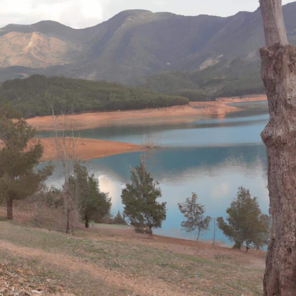 Ruyada Yuzunde Sivilce Gormek