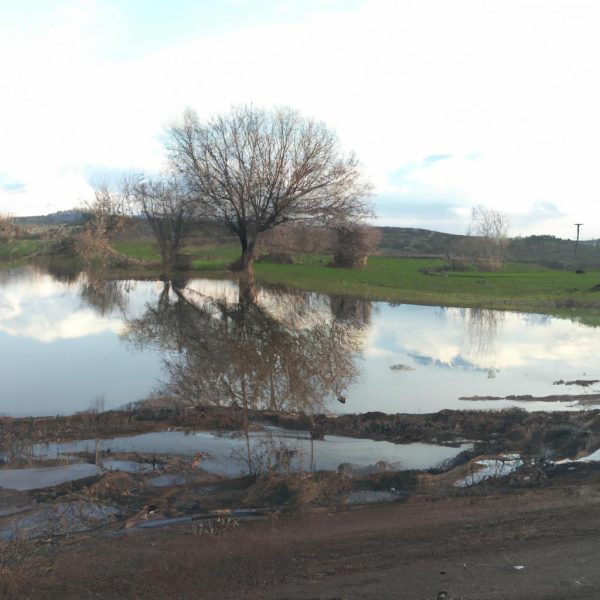 Ruyada Zabita Gormek