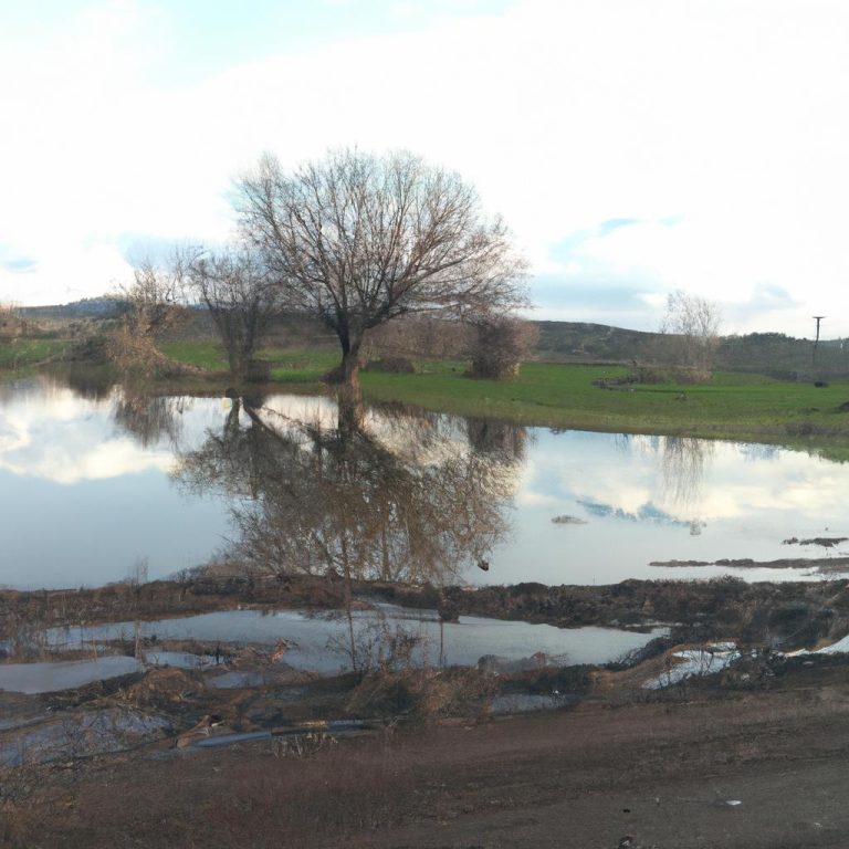 Ruyada Zabita Gormek