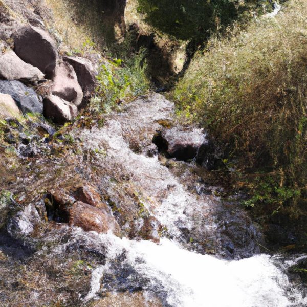 Ruyada Zemzem Suyu Gormek