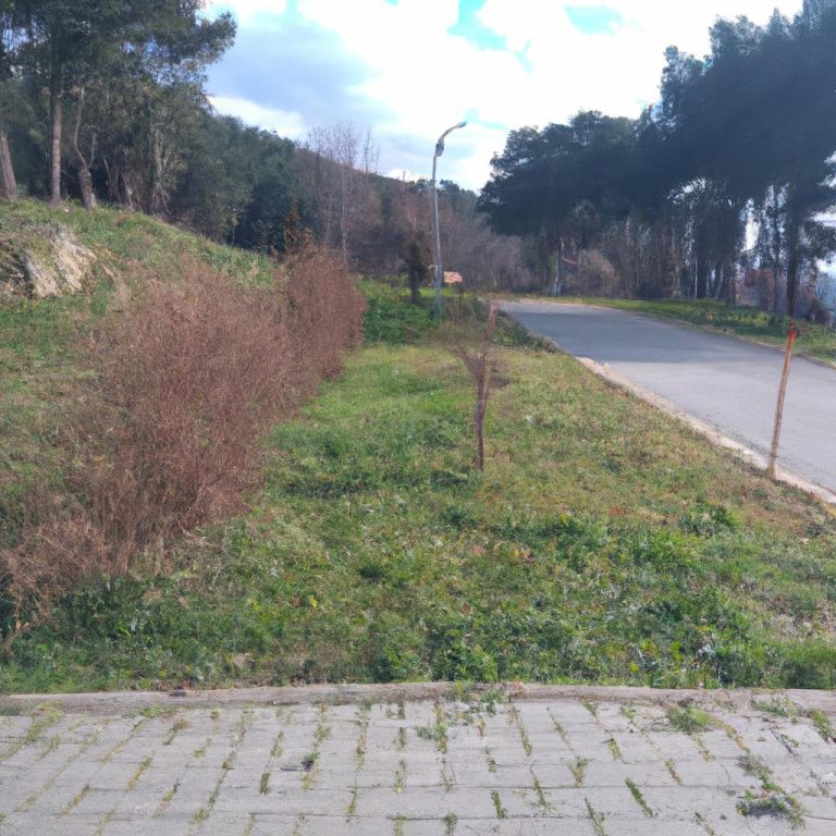 Ruyada inek Gormek Nedir