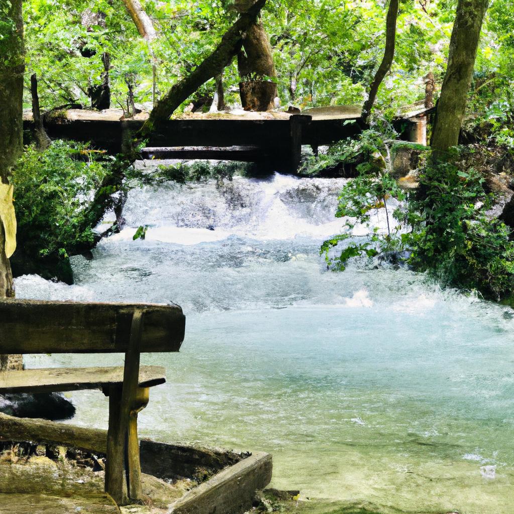 Ruyanda Arkadasini Gormek