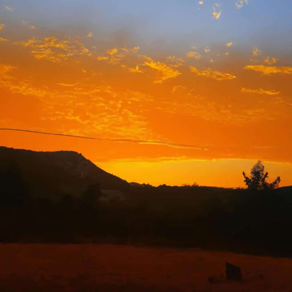 Ruyanda Yilan Gormek