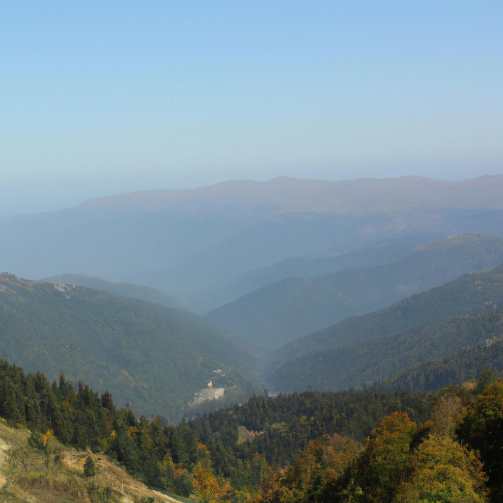 Sen Ruyalar Aleminde