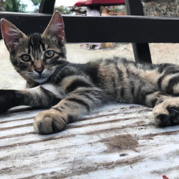 Surekli Kotu Ruya Gormek