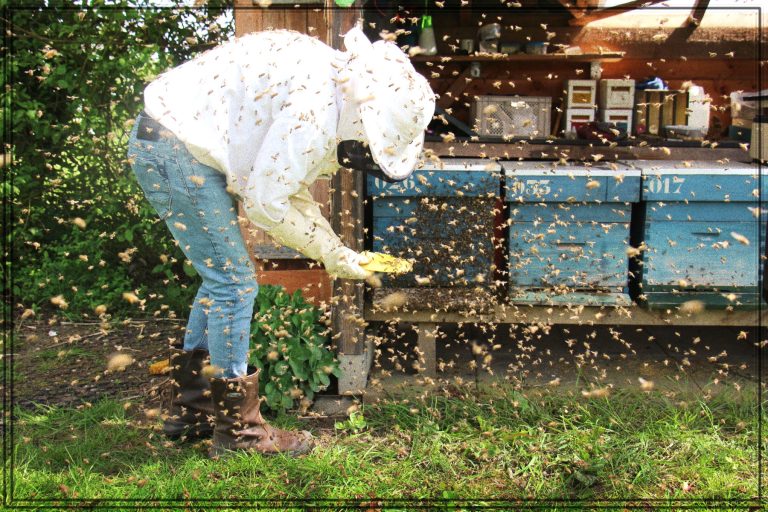 Rüyada Arı Sokması