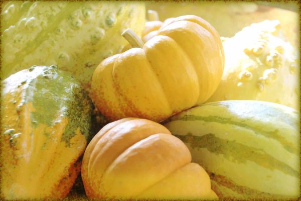 Rüyada Kabak Görmek