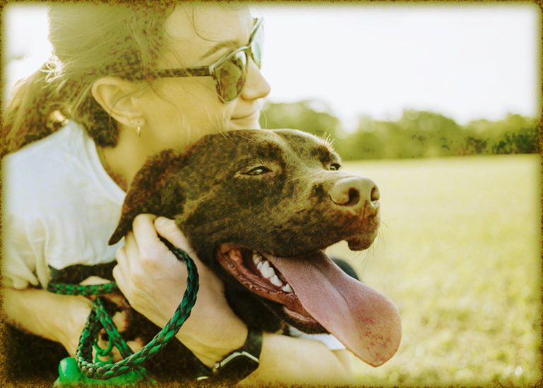 Rüyada Köpek Sevmek