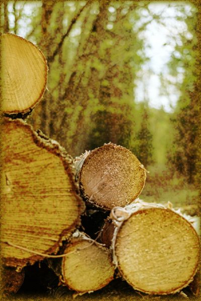 Rüyada Odun Görmek