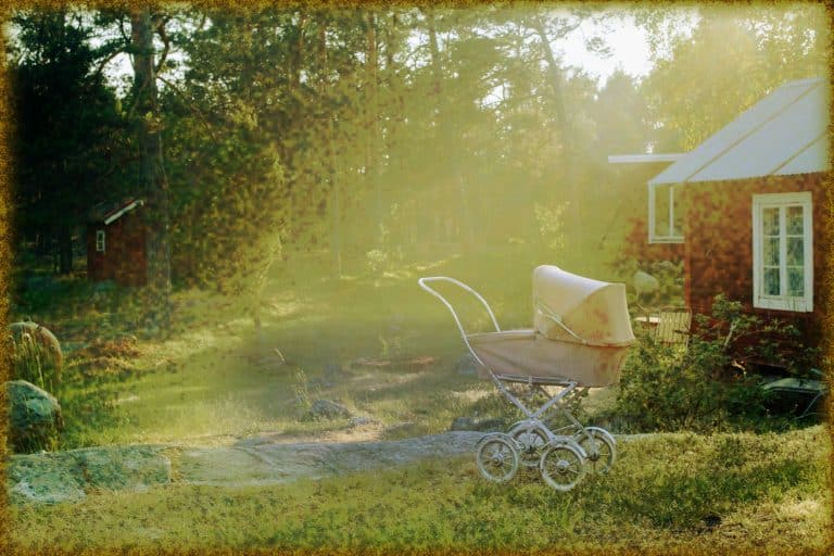 Rüyada Bebek Arabası Görmek